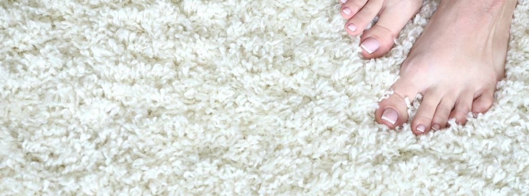 hypoallergenic carpet cleaning Oshawa