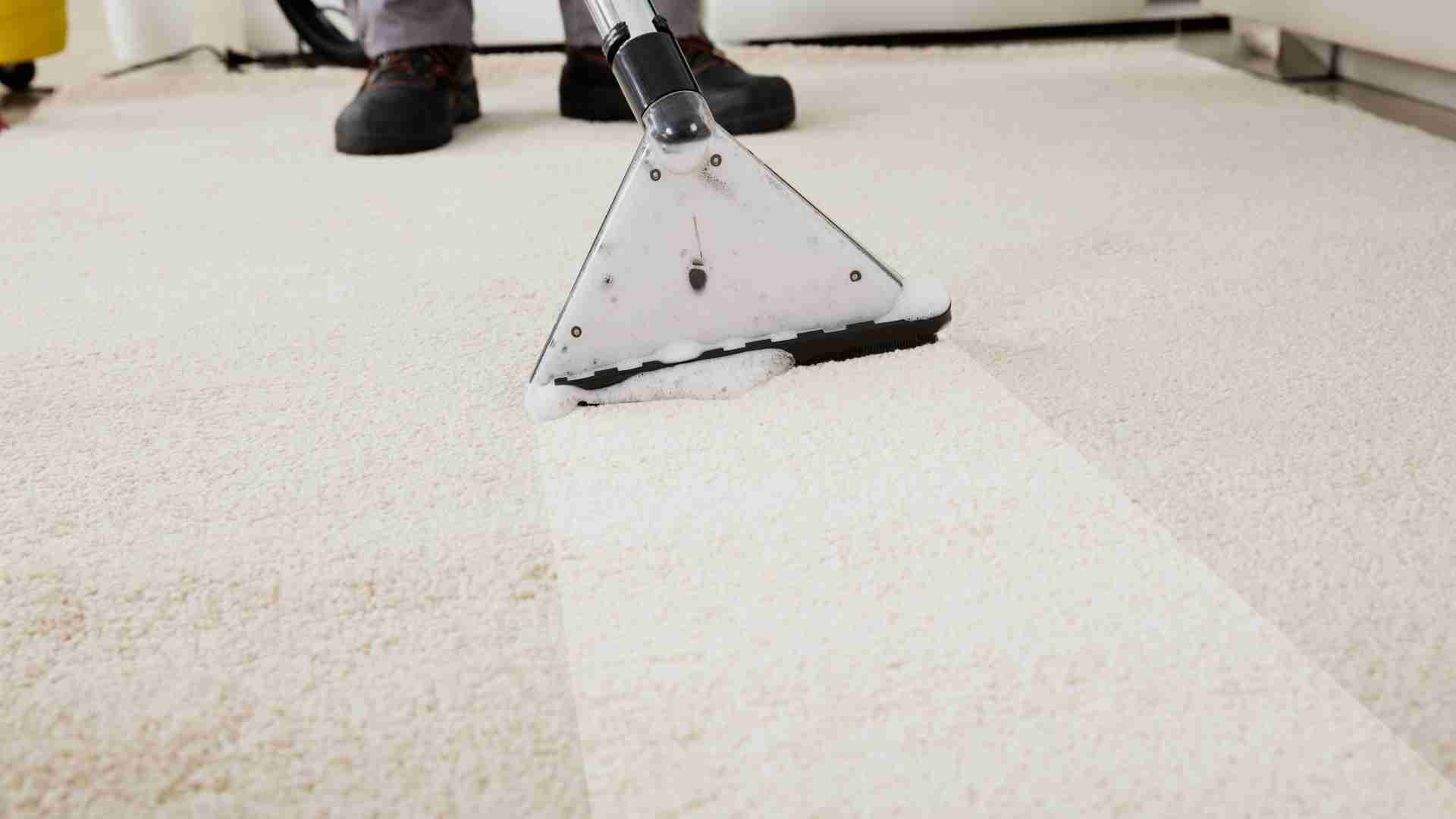professional carpet cleaning service Oshawa