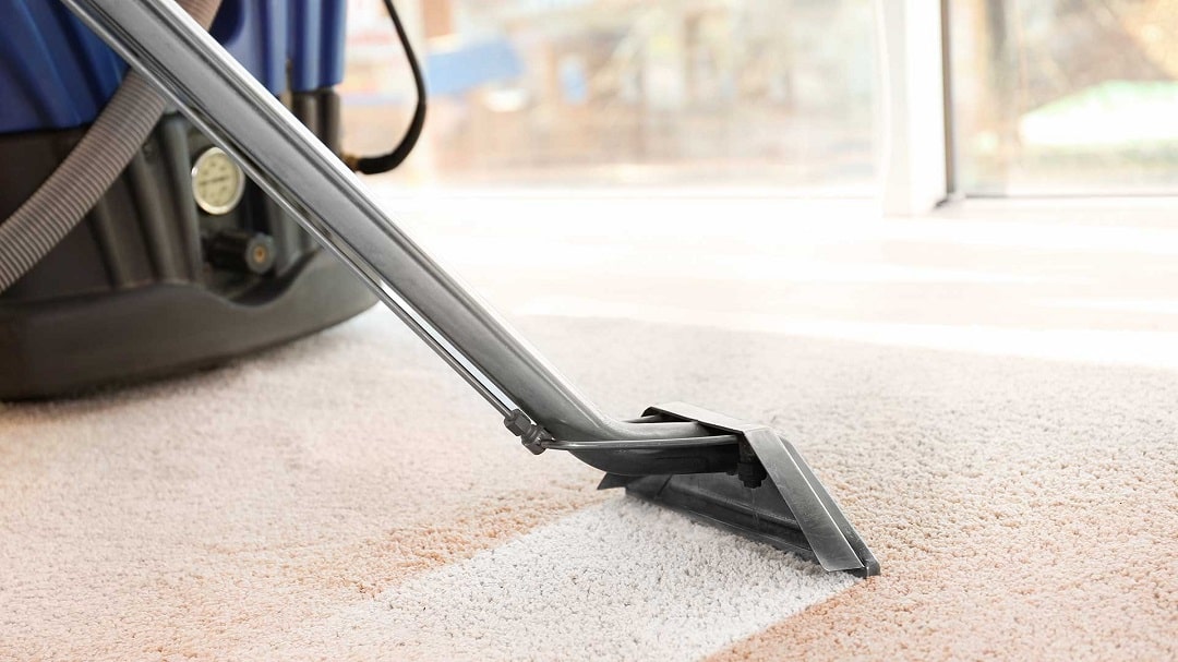 carpet cleaning Harmony