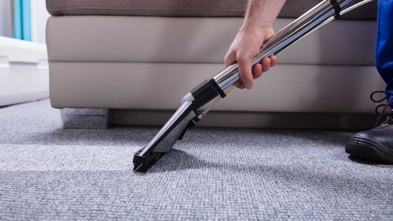 carpet cleaning in Harmony